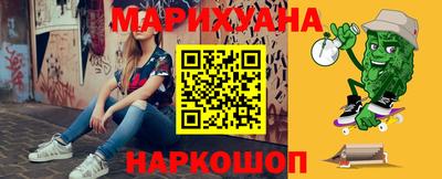 крисы Новокубанск