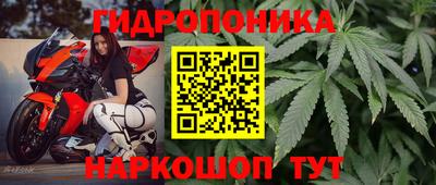 наркотики Новодвинск