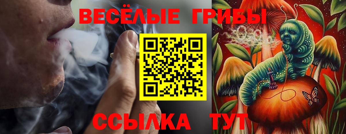 Псилоцибиновые грибы MAGIC MUSHROOMS Свободный