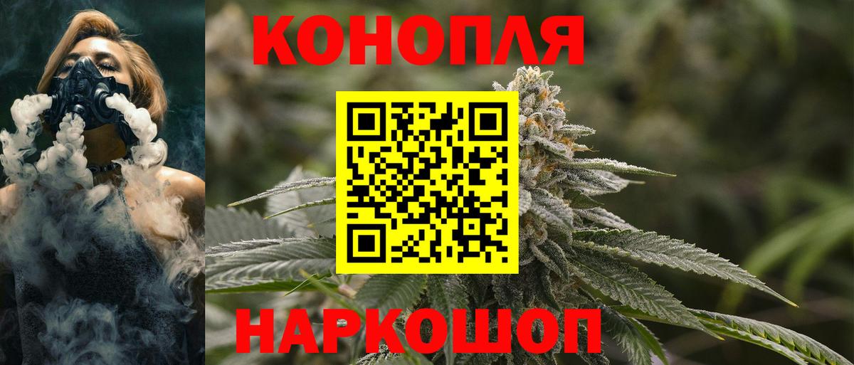Свободный  Шишки марихуана сатива  Бошки Шишки THC 21%  Вход с VPN  Шишки марихуана марихуана 